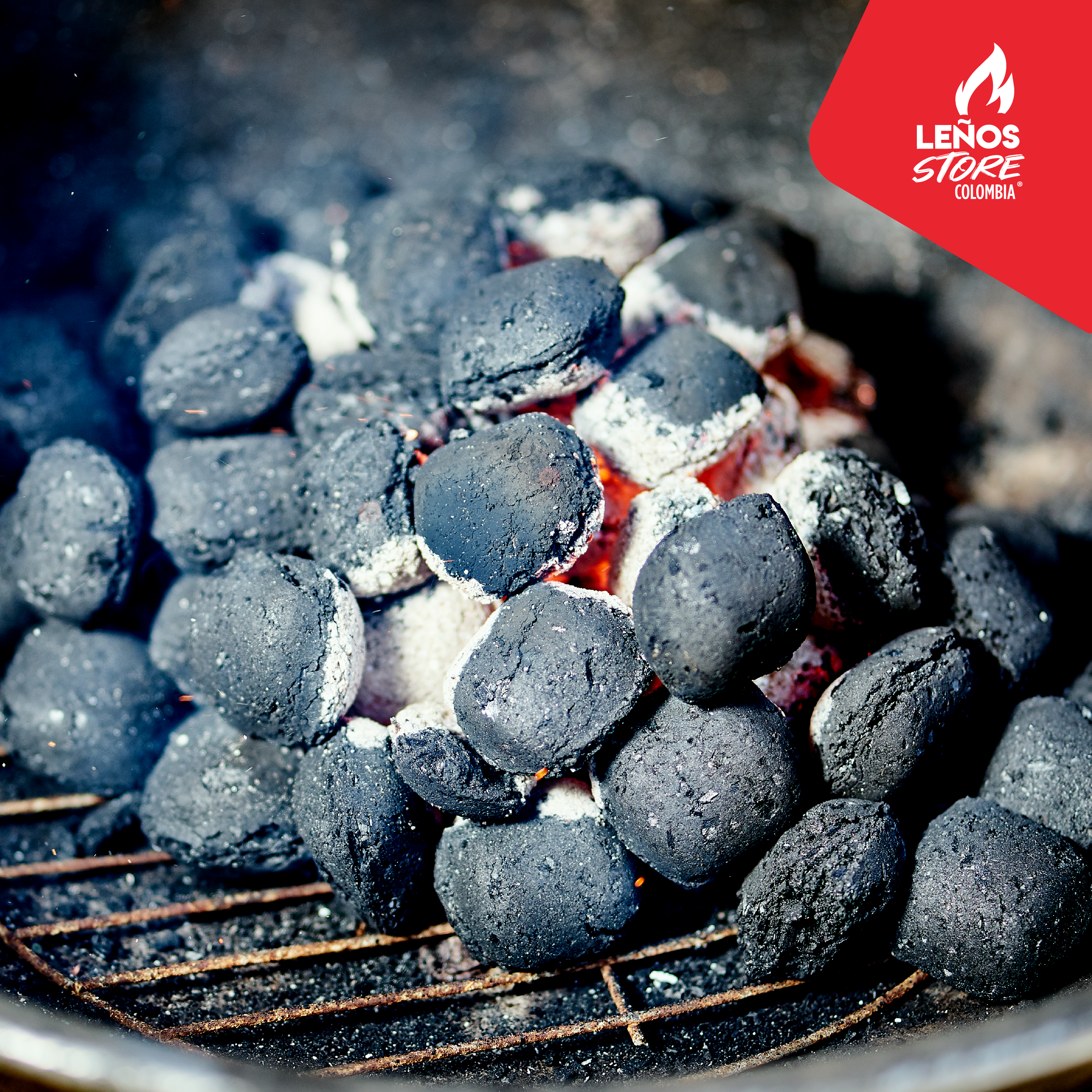 BRIQUETAS DE CARBÓN VEGETAL PARA BARRIL O BBQ